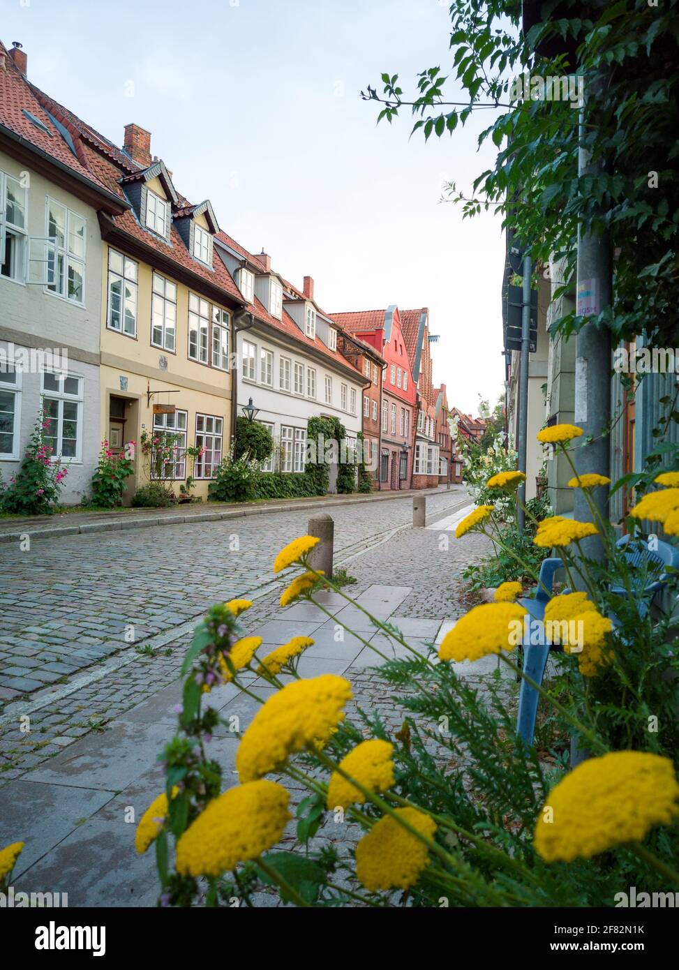 Beautiful historic streets in Luneburg in lower saxony germany with yellow flowers in soft light at daylight in the spring with beautiful brick houses Stock Photo