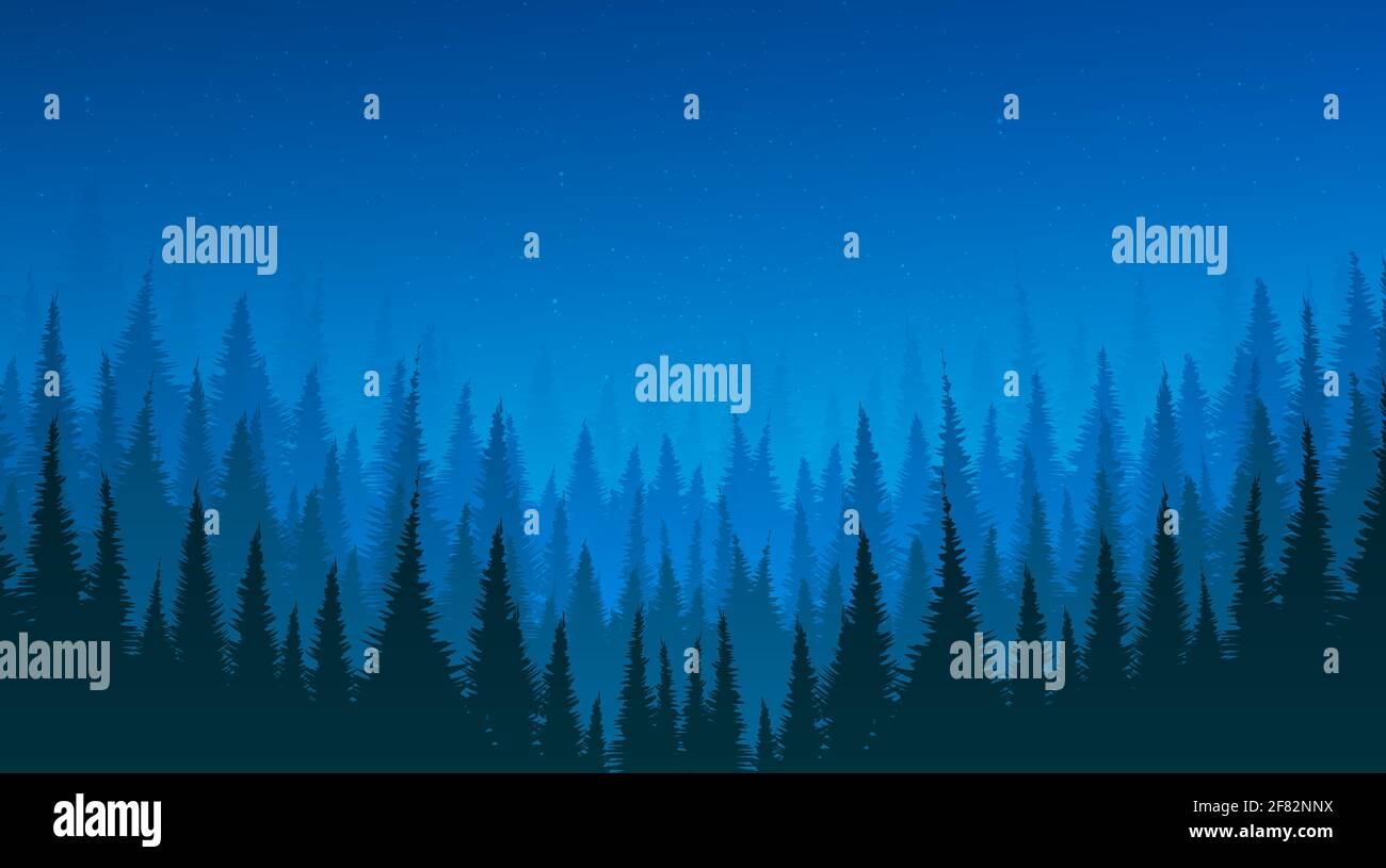 Night landscape background with Pine Forest and Star,free space for ...