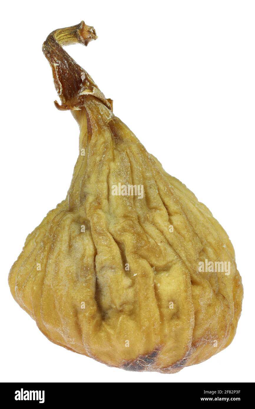 dried wild fig isolated on white background Stock Photo