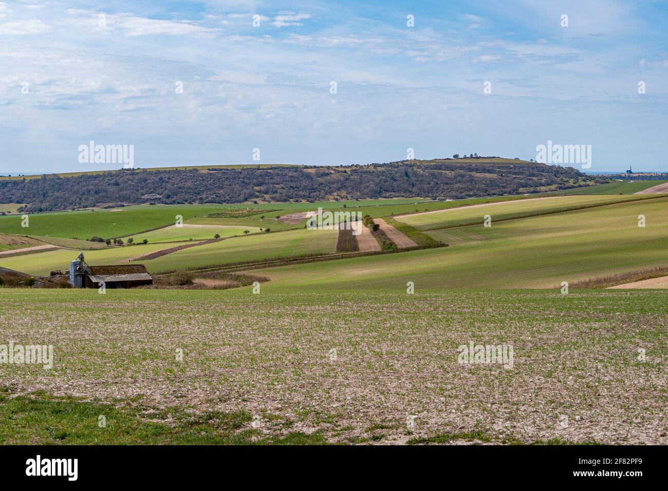 Looking over to Cissbury Ring from the South Downs Way above Steyning Bowl,  South Downs National Park, West Sussex, UK Stock Photo - Alamy