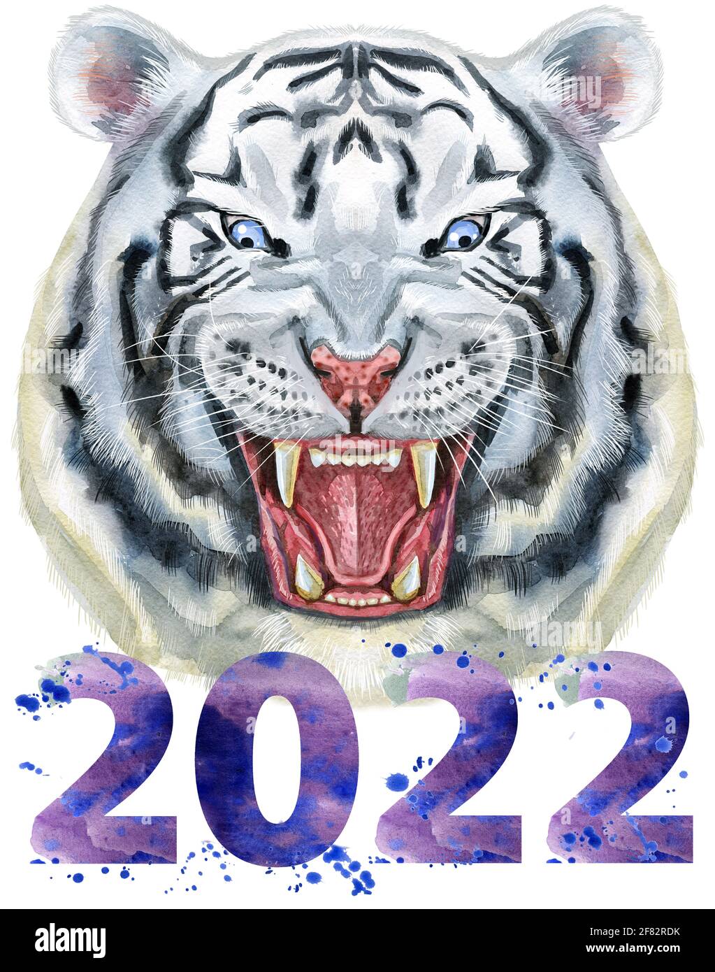 White aggressive tiger with open mouth and huge fangs, with number two thousand and twenty two Stock Photo
