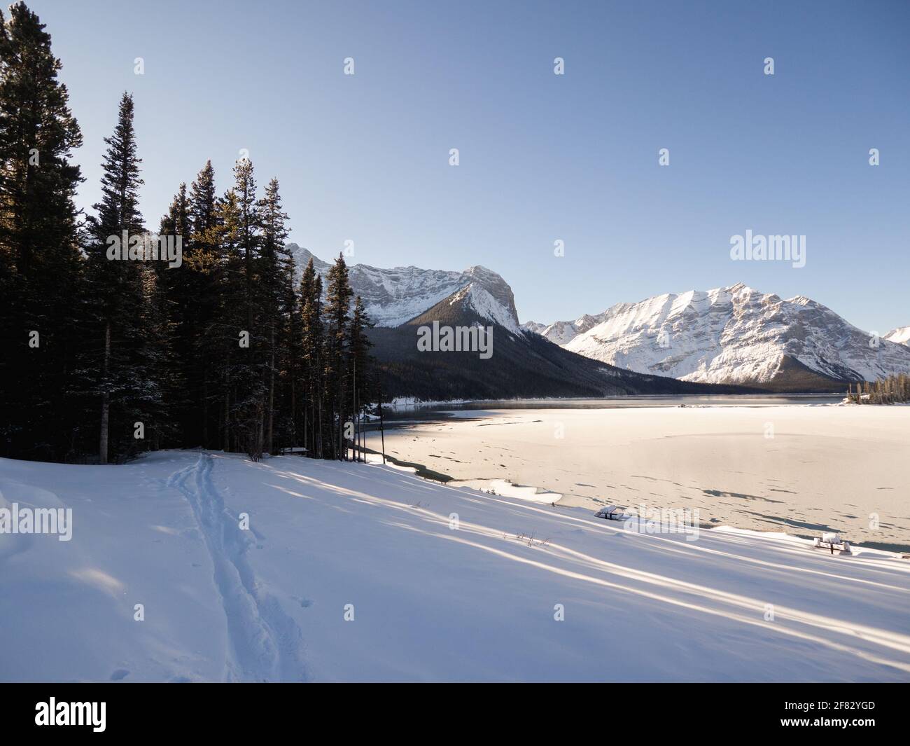 Tall trees next lake hi-res stock photography and images - Alamy