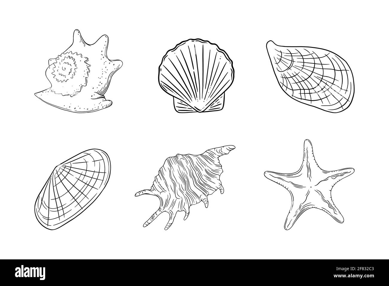 Star barnacles Stock Vector Images Alamy