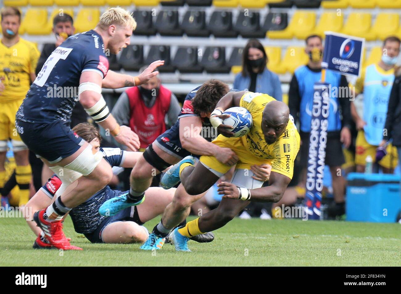 rugby union champions cup