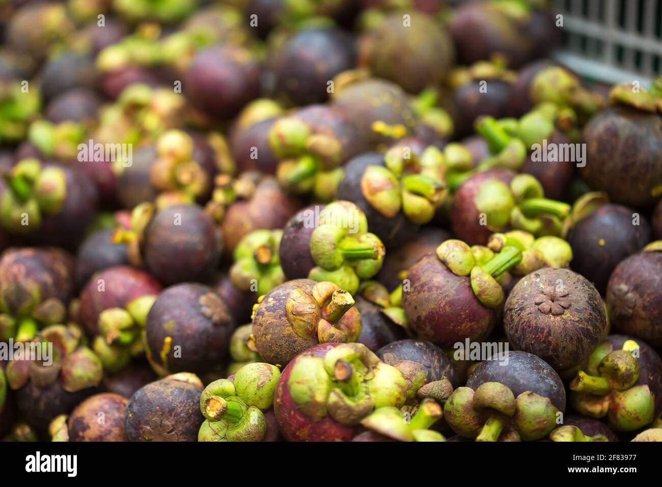 Mangosteen ripe fruits on the market stalls Stock Photo Alamy
