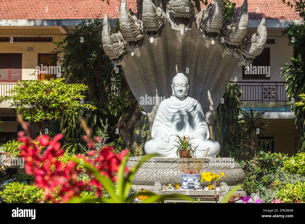 Statue of a huge 7 heads cobra (named Naga) shielded the Buddha. Stock Photo