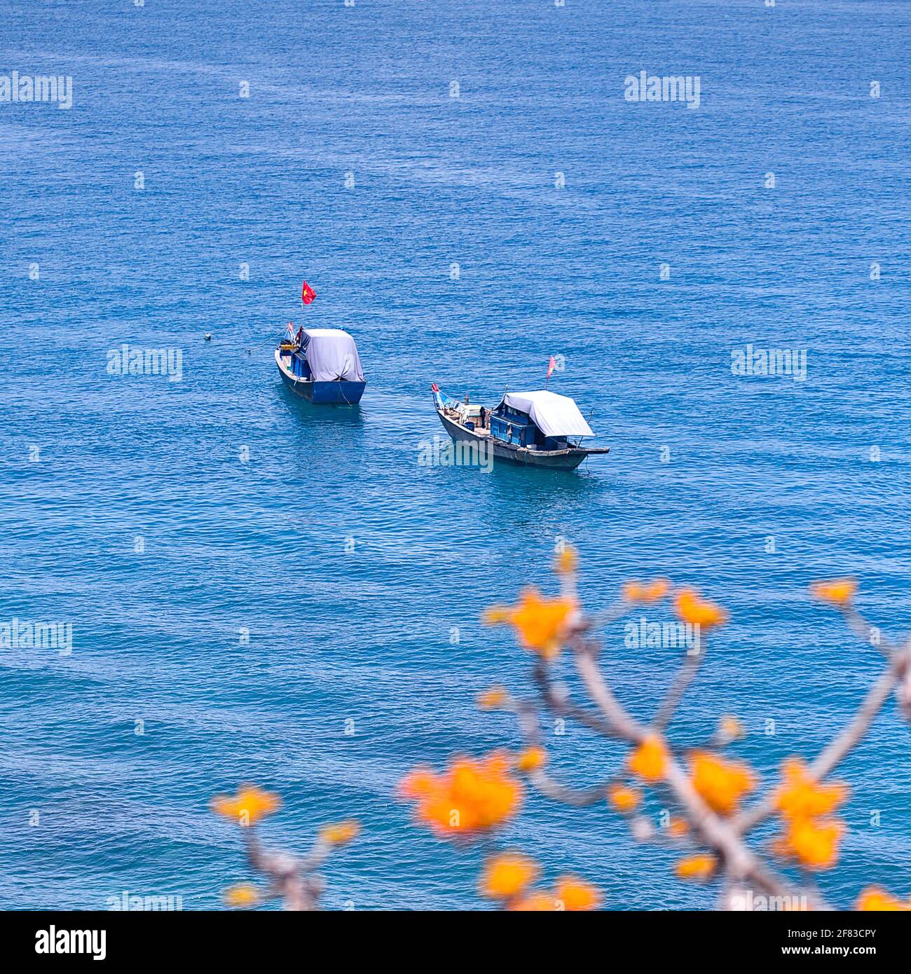 Scenery of boats on the sea with blooming Firmiana simplex flower blurry foreground - Cham island (Vietnam) Stock Photo