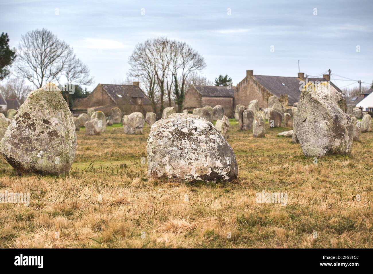 Alignment of Manio (Carnac, France) - an archaeological sites from the Neolithic period Stock Photo