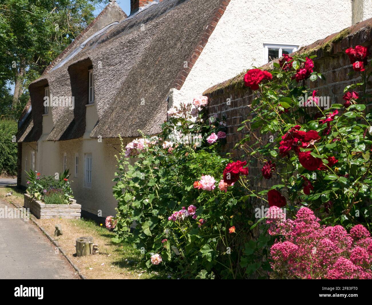 Rural Thatched Cottage with Colourful Summer Garden Plants, in the hamlet of St James, Coltishall, Norfolk, England, UK Stock Photo