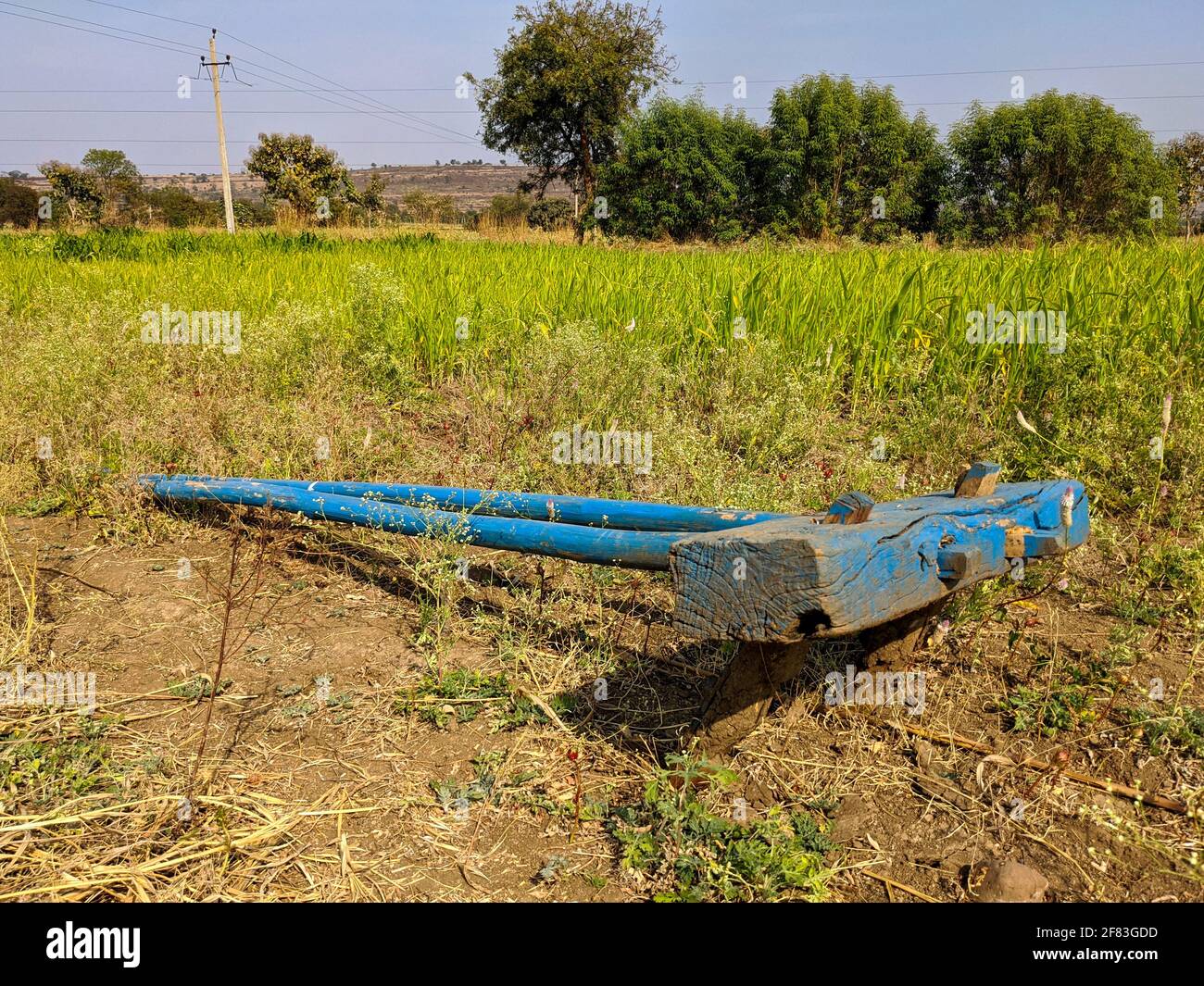 view of Indian farmer's wooden tool isolated in field Stock Photo Alamy