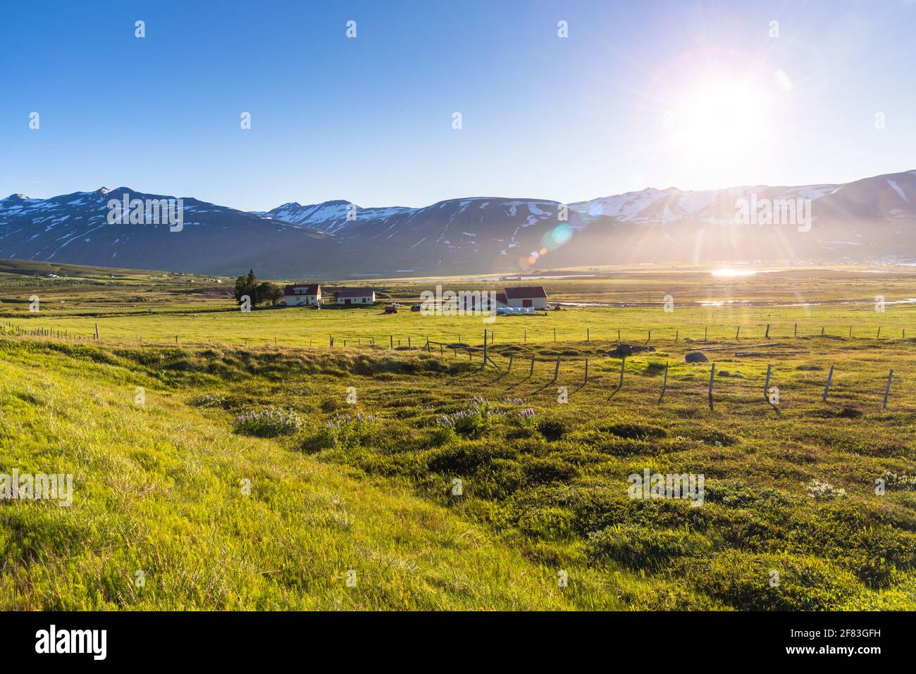 Rural landscape dotted with farms in a grassy fields under midnight sun in summer. Majestic snow-capped mountains are in background. Lens flare. Stock Photo