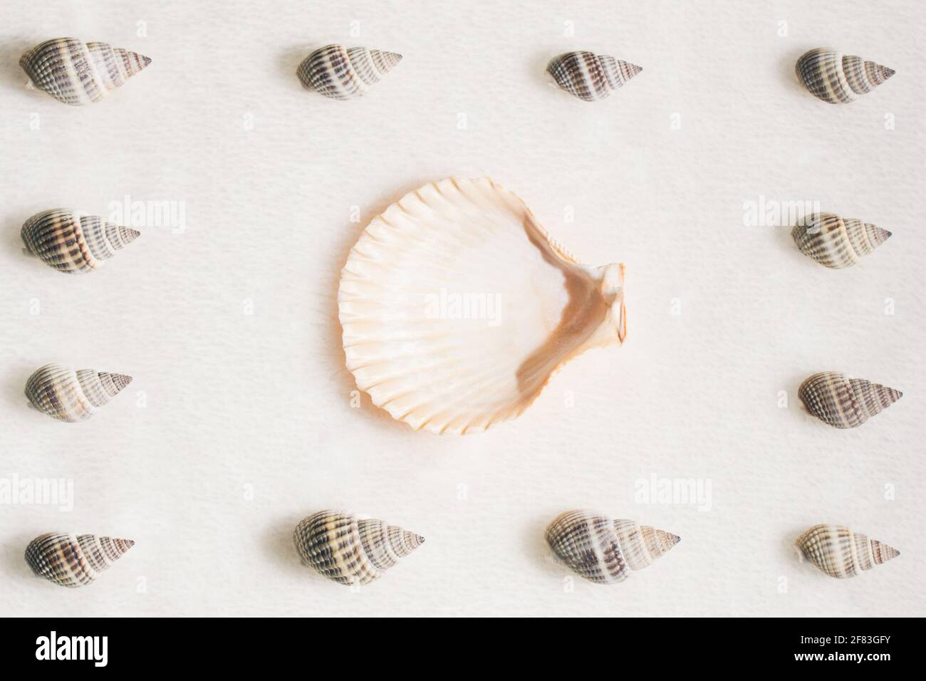 Summer composition with different seashells on beige beach sand background. Difference, individuality, leadership and uniqueness concept Stock Photo