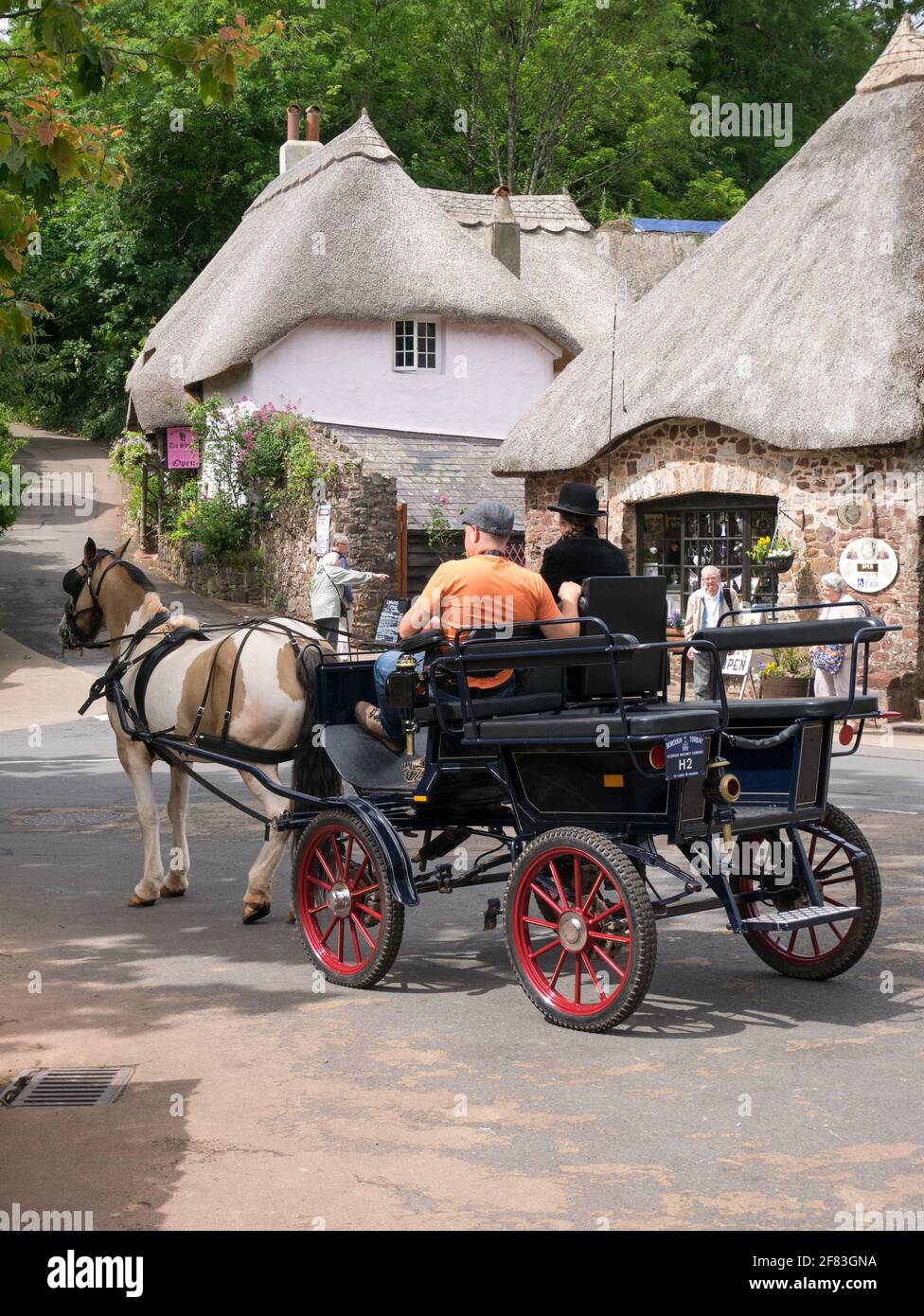 The Picturesque Thatched Village of Cockington with its Thatched Cottages and Horse Drawn Rides, Cockington, Torquay, Devon, England, UK Stock Photo
