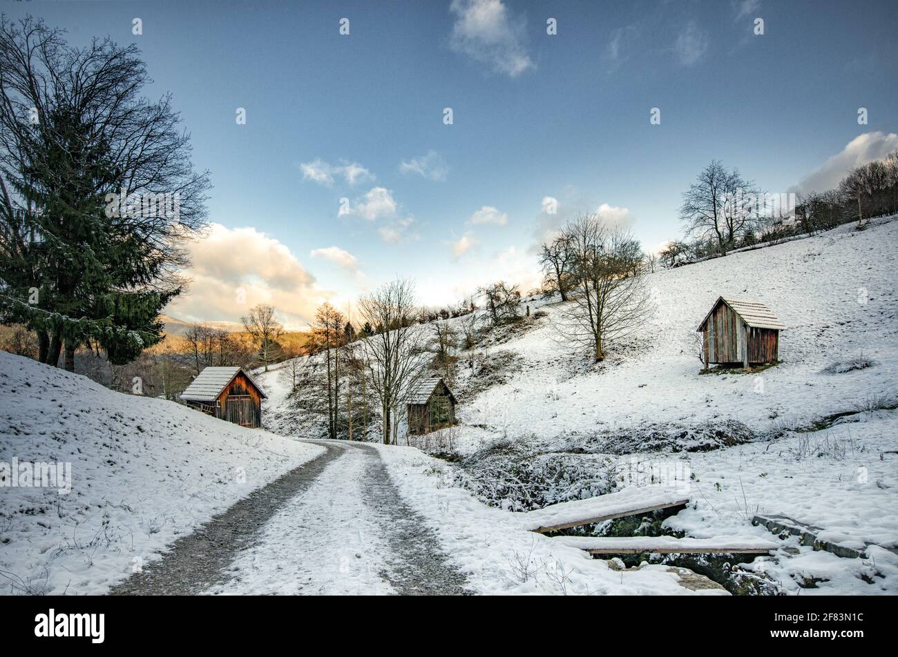 Road in snowy countryside hi-res stock photography and images - Alamy