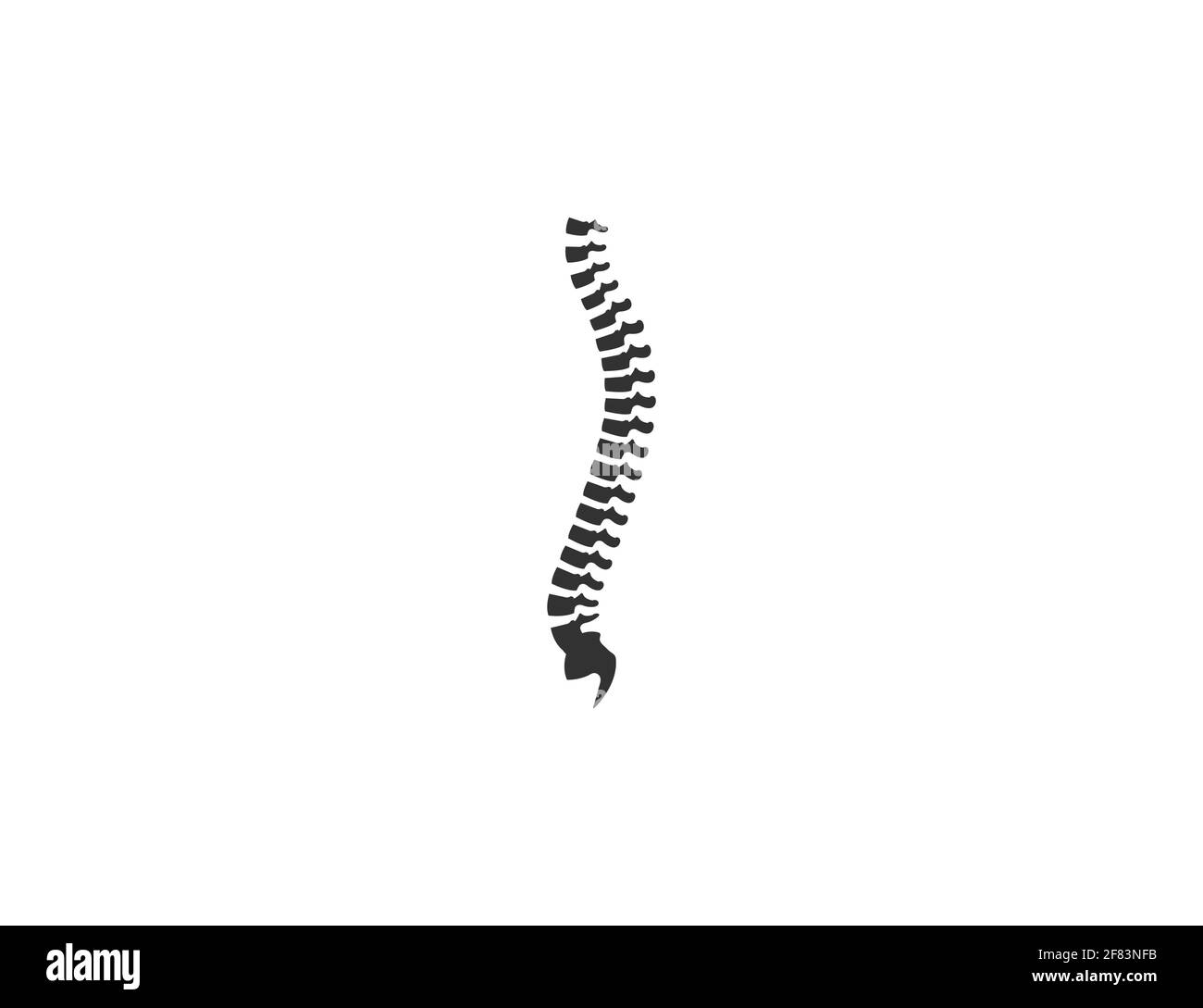 Vector illustration. Human spine, natomy backbone icon Stock Vector