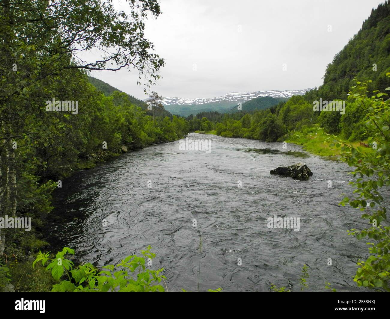 A beautiful shot of a river in the mountains surrounded by bright green ...