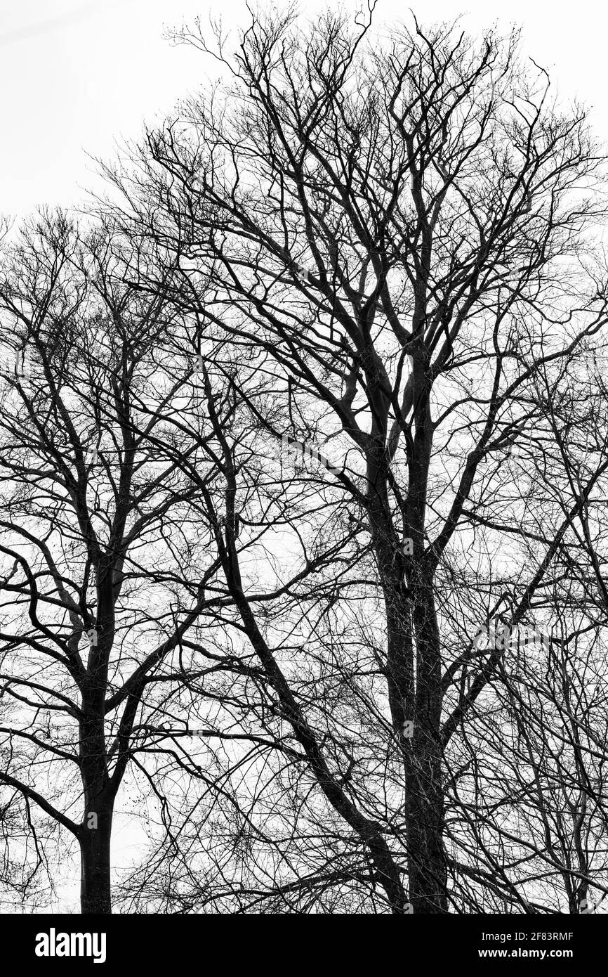 Field in april on Black and White Stock Photos & Images - Alamy