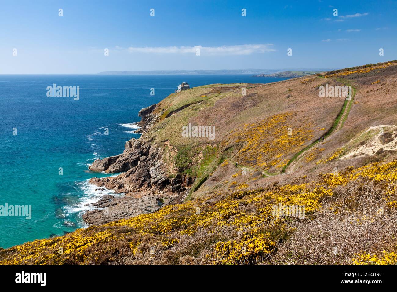 Cliffs above Porthcew Rinsey Cove Cornwall England UK Europe Stock Photo