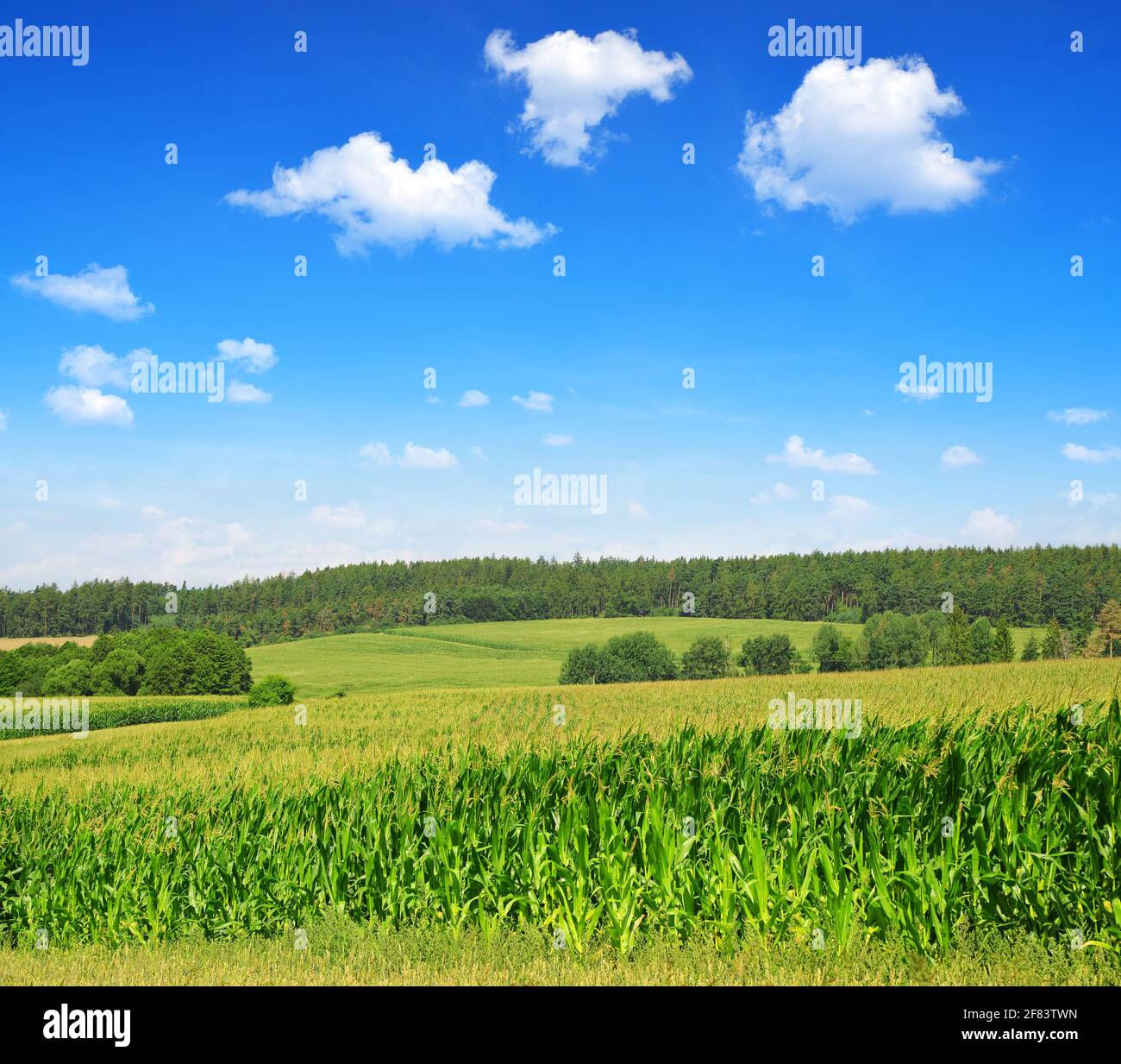 Green field sunny hi-res stock photography and images - Alamy