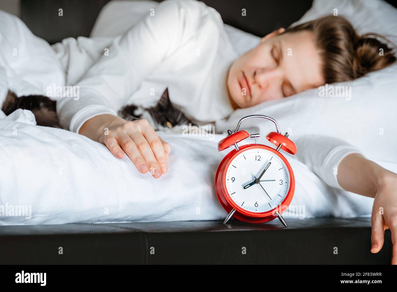 Cat waking up person hires stock photography and images Alamy