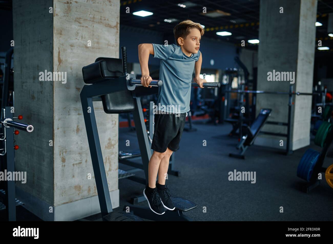 Abs exercise machine new arrivals