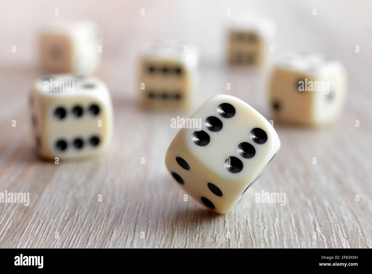 Rolling dice on a wooden desk. Stock Photo