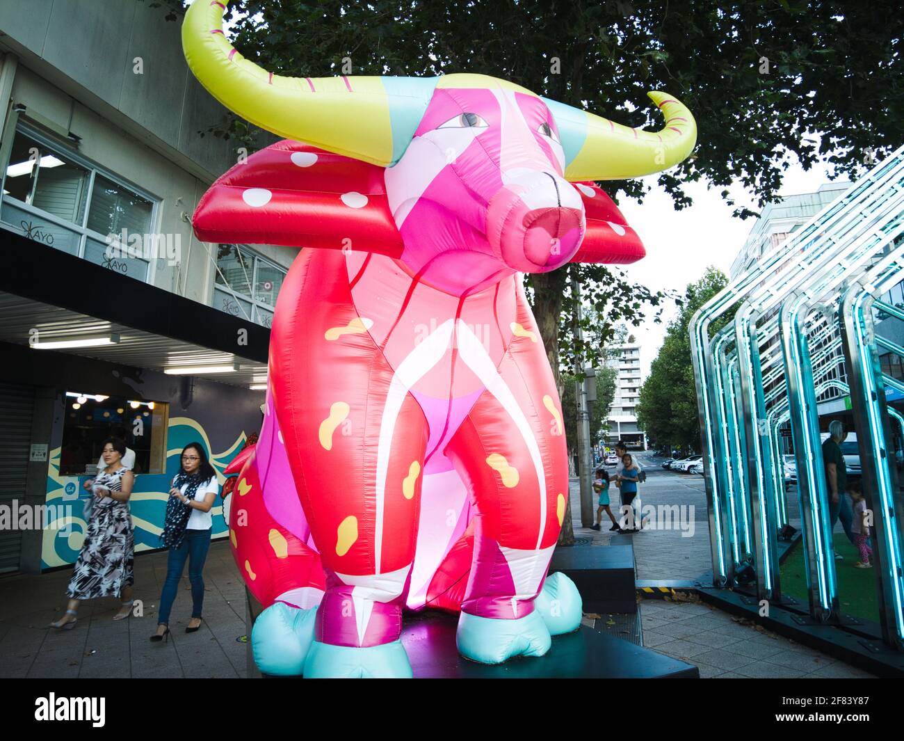 CHATSWOOD, AUSTRALIA - Feb 12, 2021: Chatswood, Sydney, Australia - February 12 2021 : A Colourful Blow-up Statute of an Ox symbolizing the Ox Chinese Stock Photo