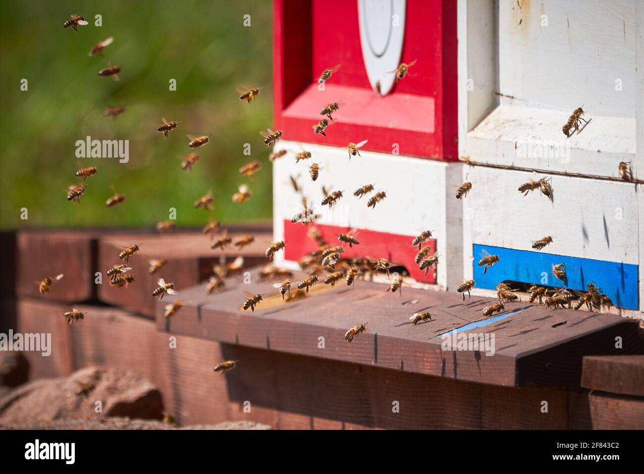 Old painted beehive hi-res stock photography and images - Alamy