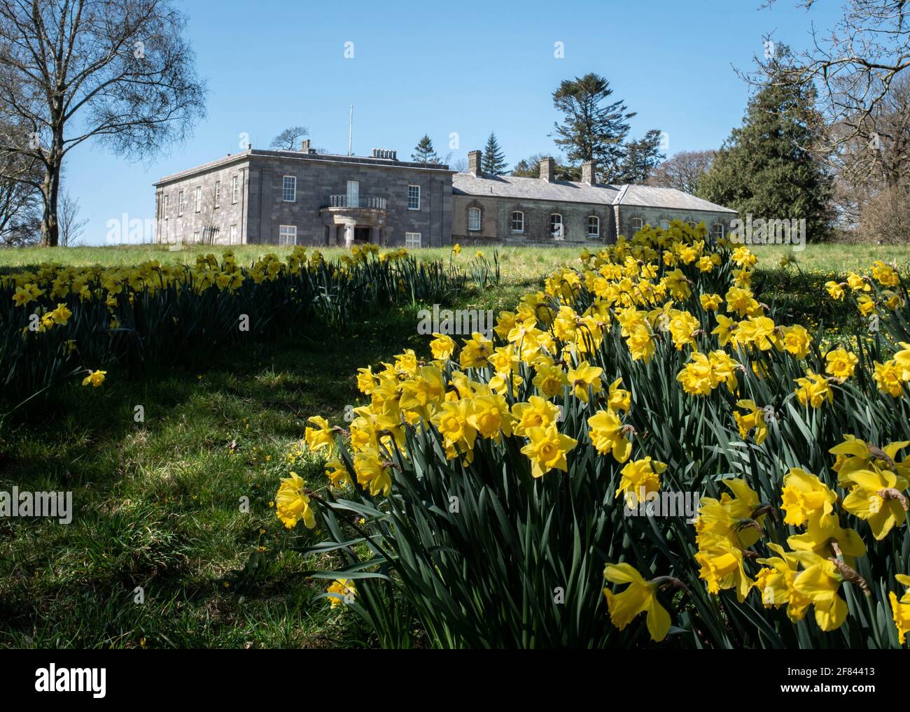 View of Arlington Court, a National Trust property, in North Devon with Spring Daffodils - April 2021 Stock Photo