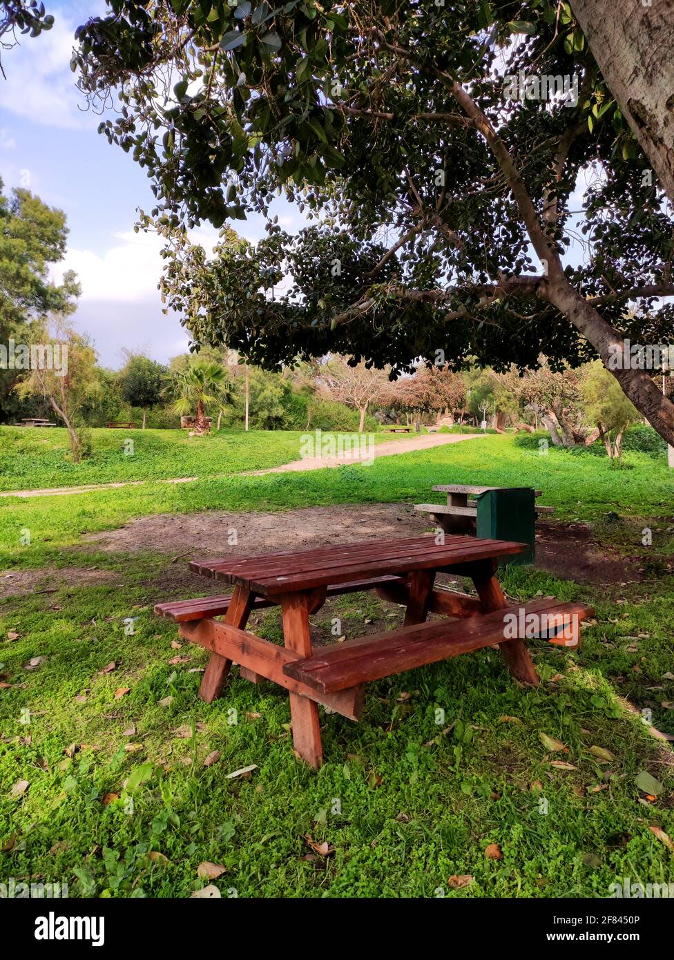 Table picnic in spring forest hi-res stock photography and images - Alamy