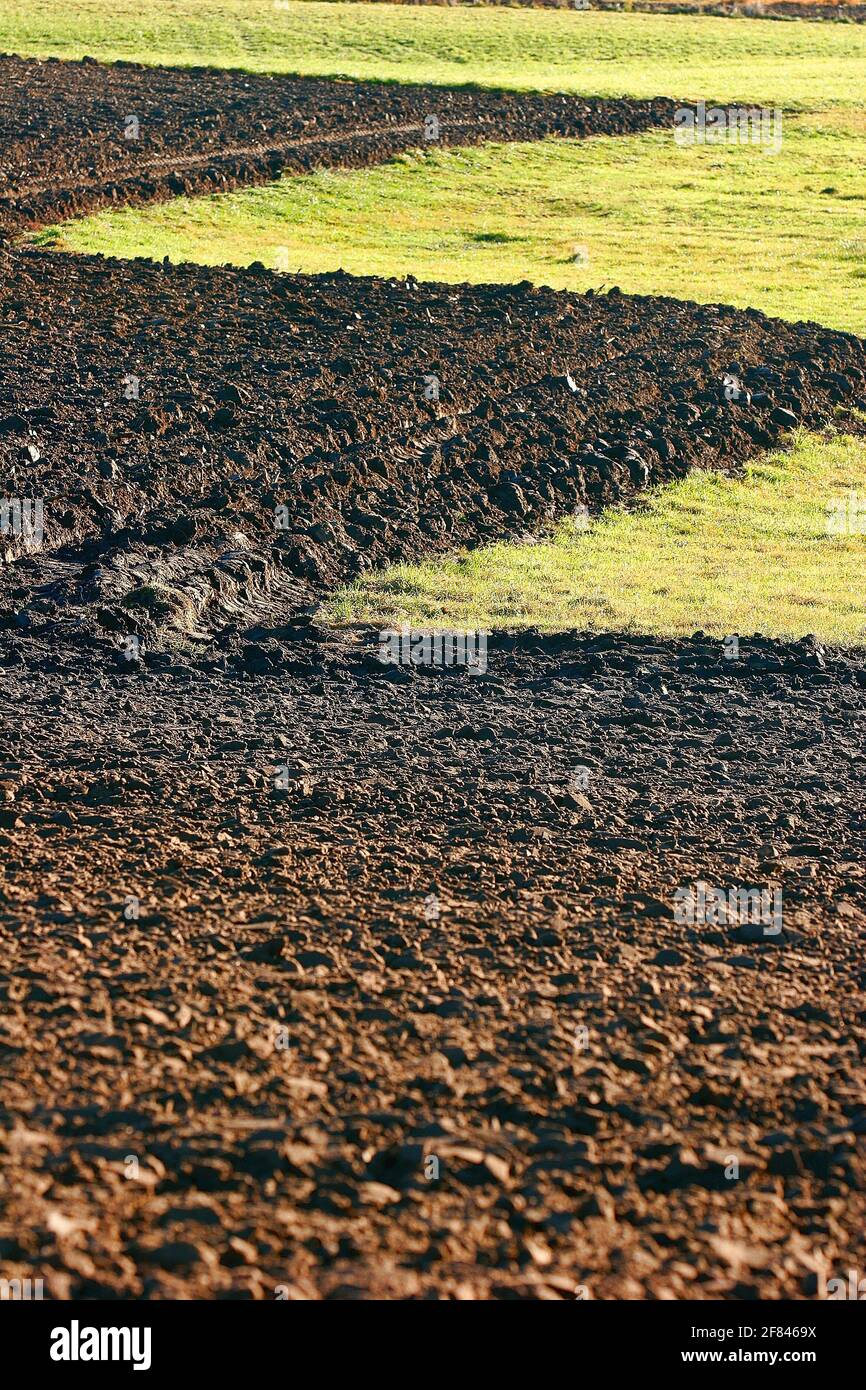 Poland, field. Stock Photo