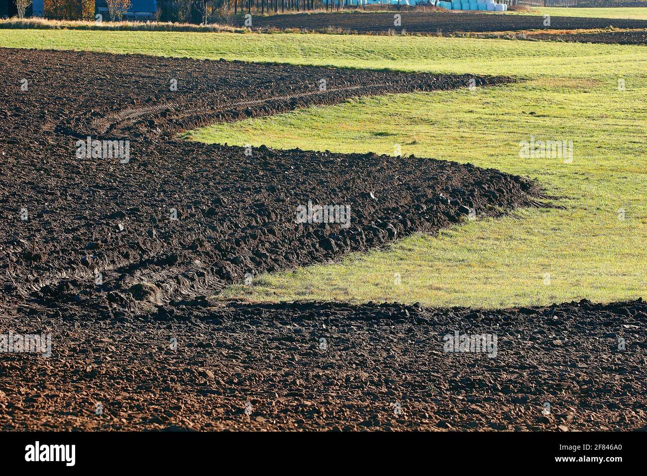 Poland, field. Stock Photo