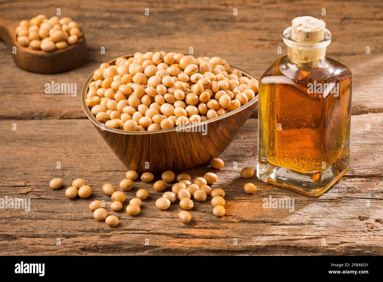 Glycine max High protein soy Stock Photo Alamy