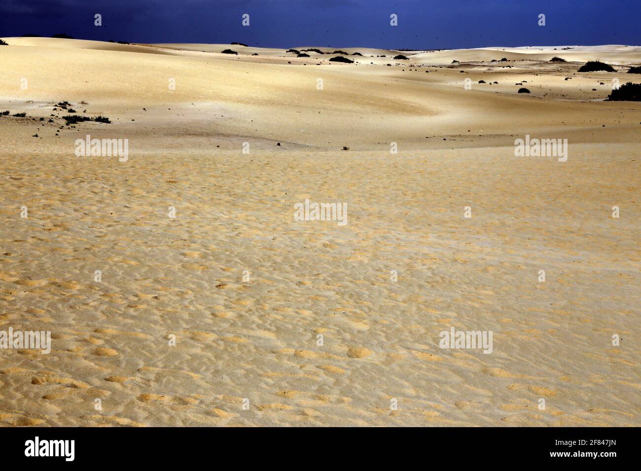 Blick über die Dünenlandschaft El Jable nach Westen Stock Photo
