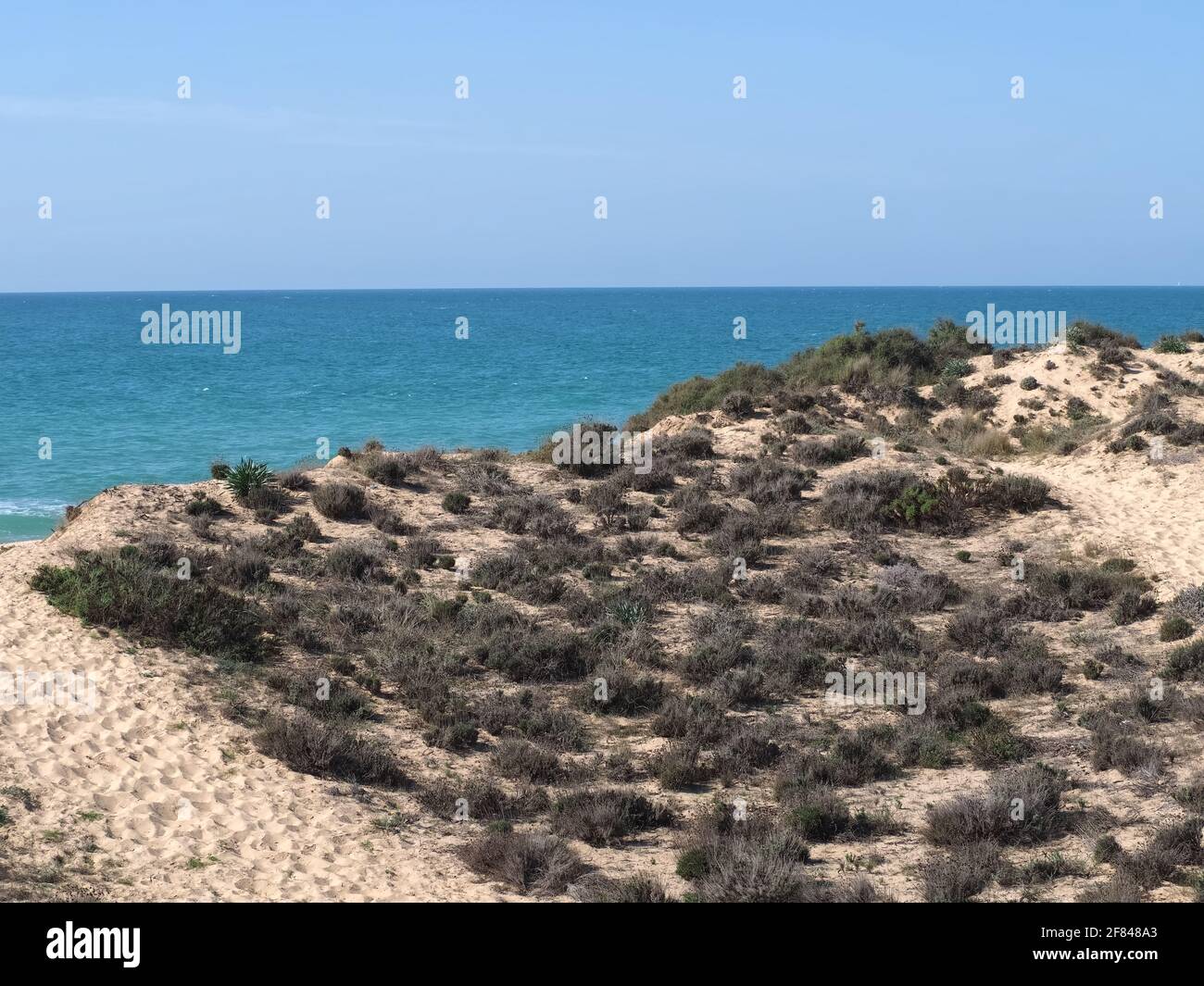 Dunes and sea of Armacaou de Pera at the algarve coast of Portugal Stock Photo