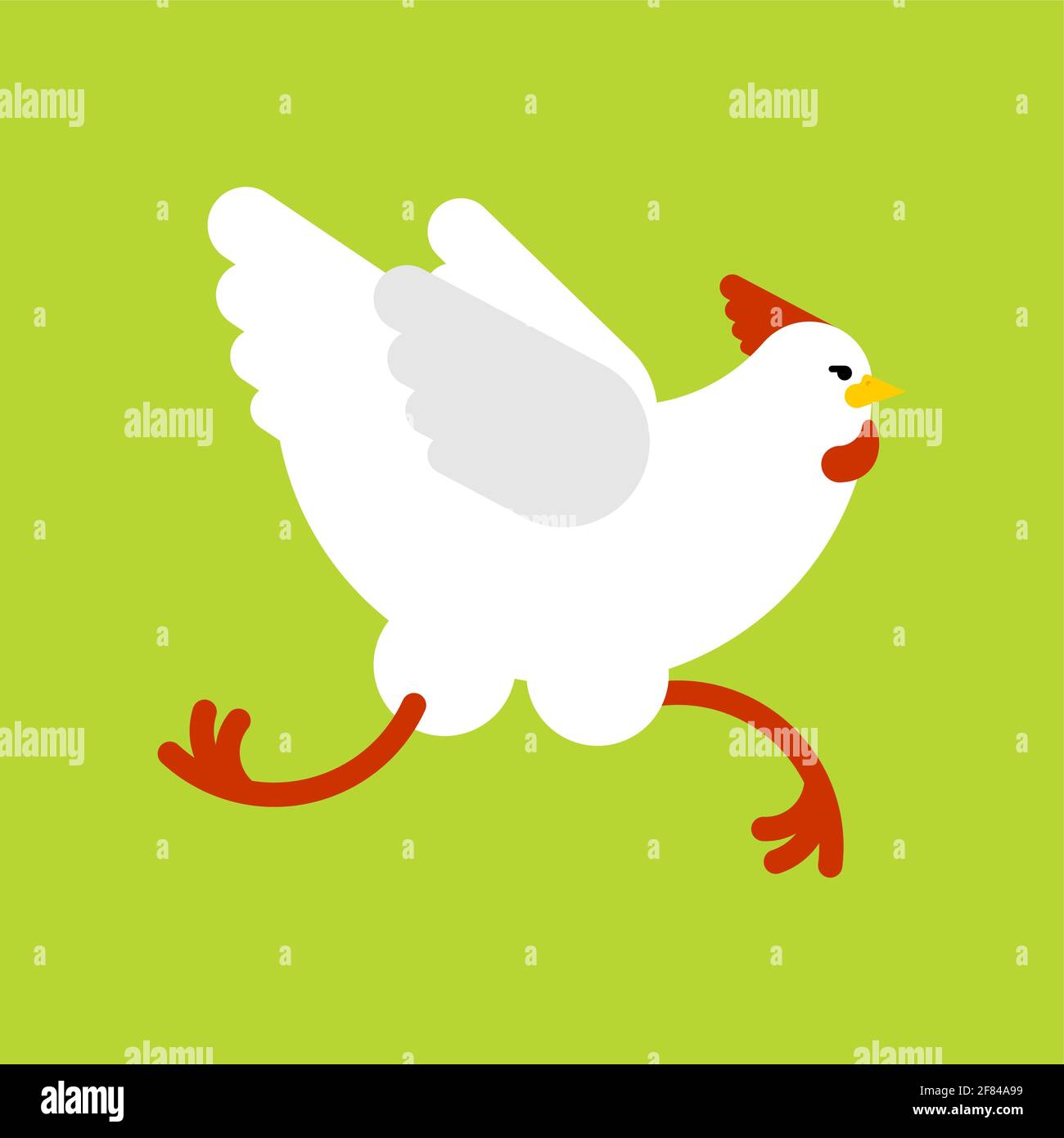 Chicken running isolated. Chicken run. vector illustration Stock Vector