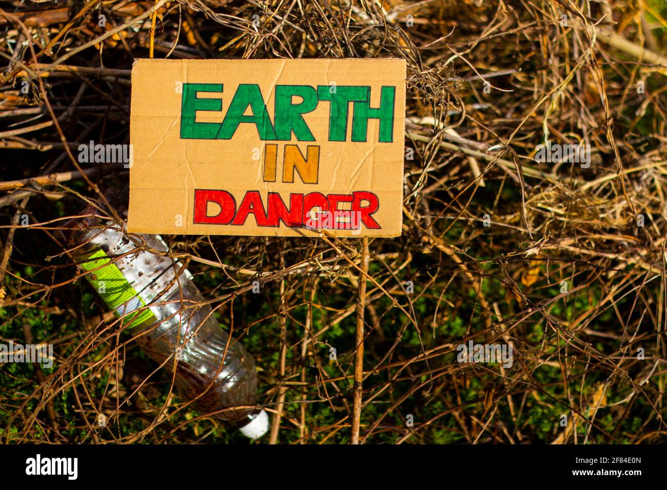 Colorful Earth In Danger title on cardboard poster. top view. Plastic bottle. Stock Photo