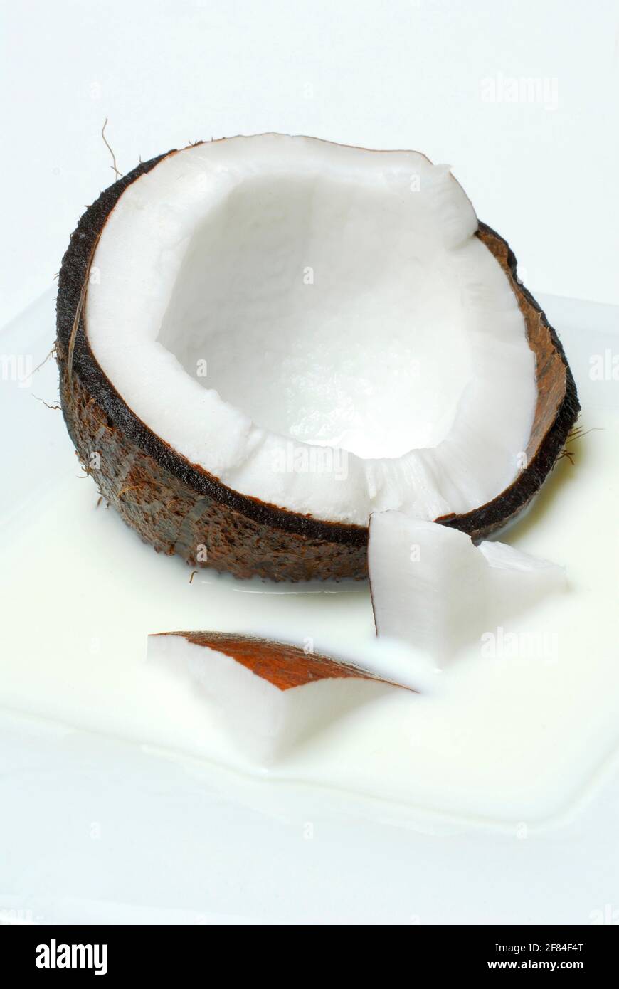 Opened coconut and coconut milk (Cocos nucifera Stock Photo Alamy