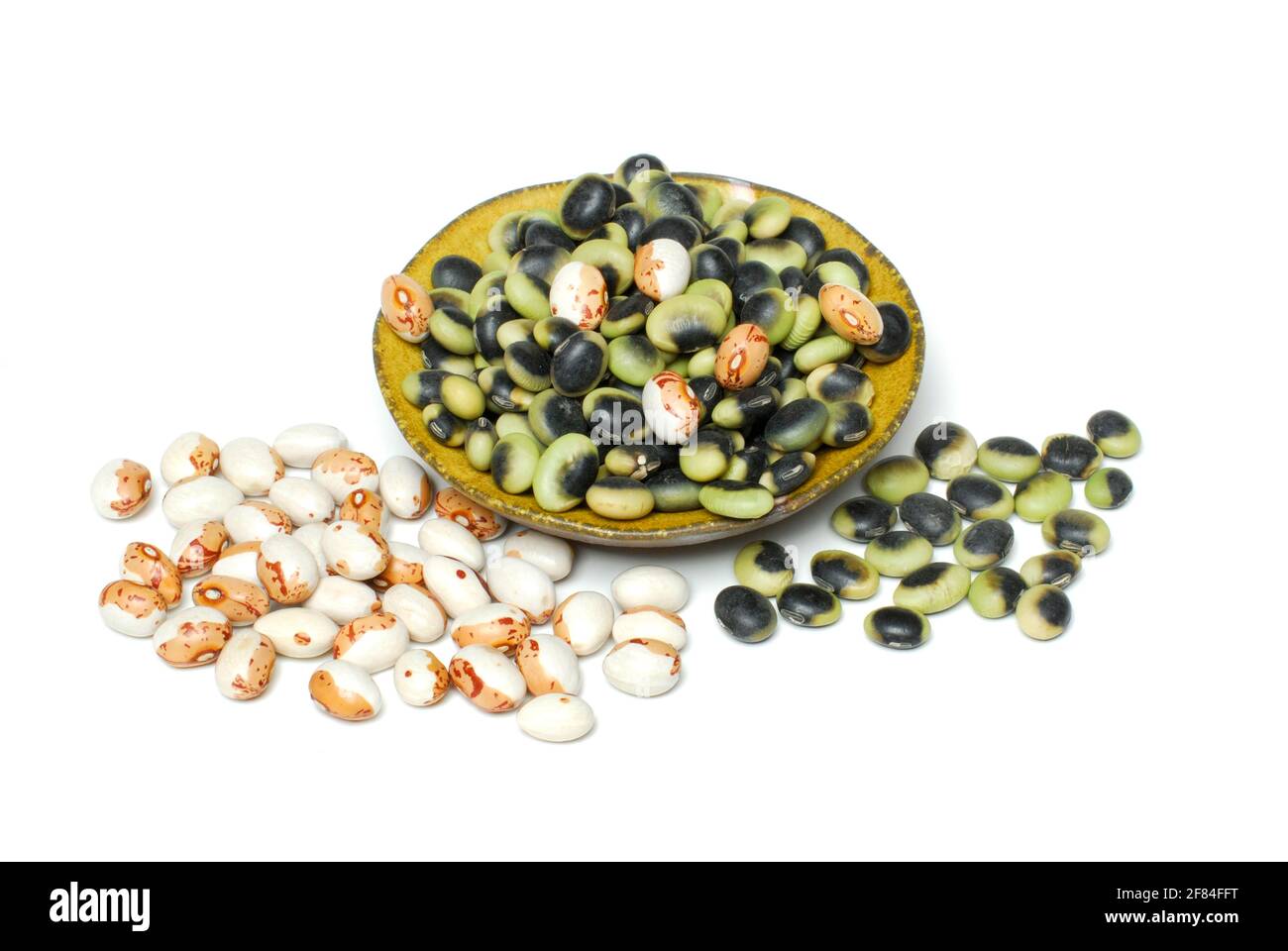 Japanese Soya beans (Glycine max) whitebrown from Hokkaido, black