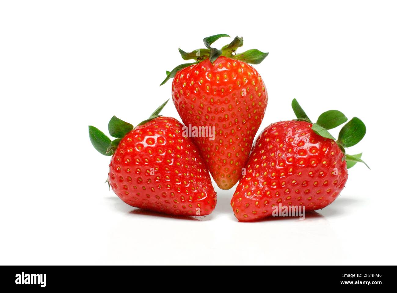 Strawberries (Fragaria x ananassa) Stock Photo