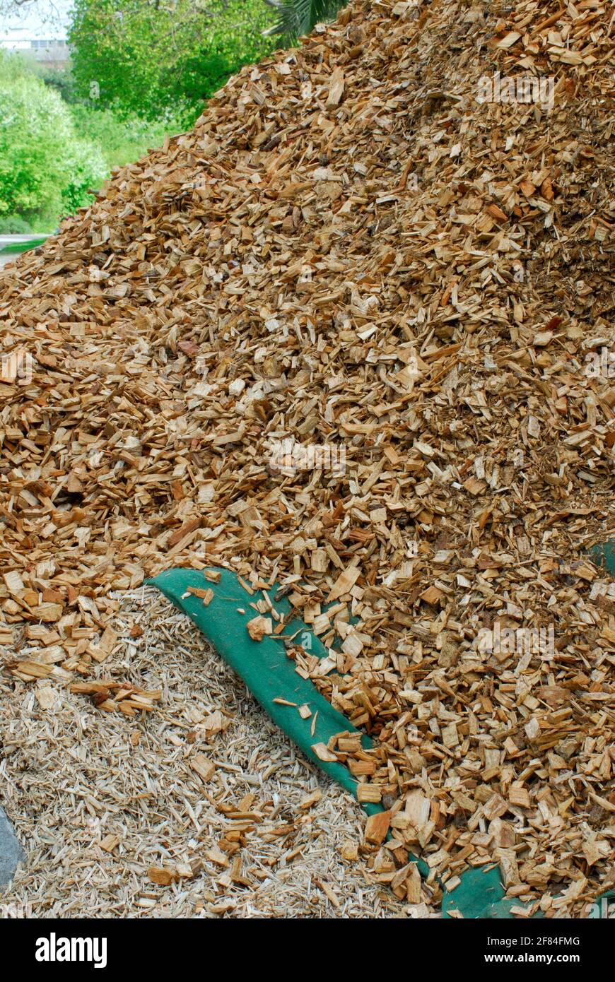 Wood chips, ground cover, mulch, fuel, combustible material Stock Photo