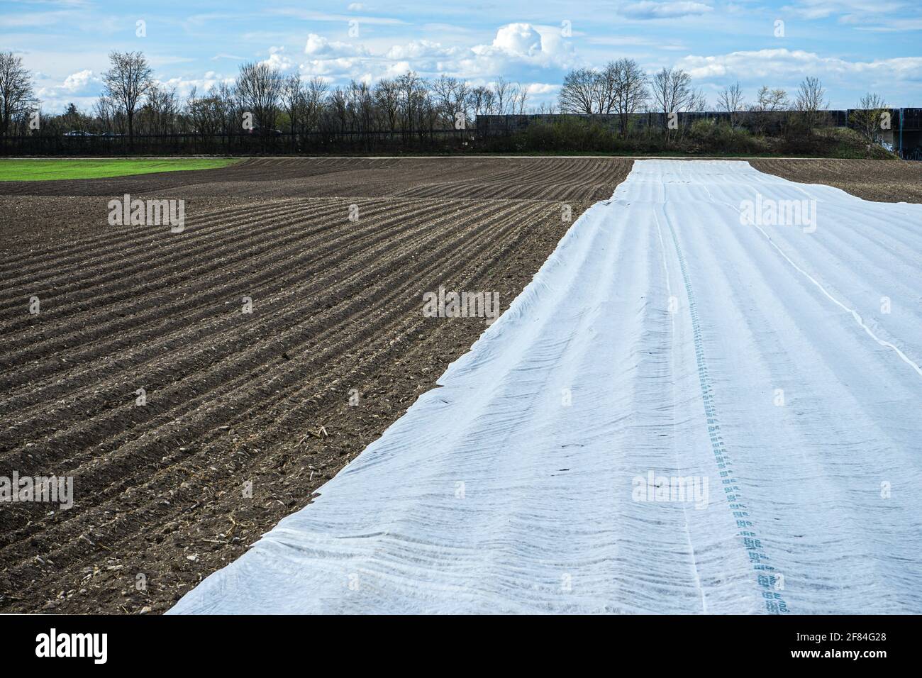 Field in Esting, in the municipality of Olching in the district of Fürstenfeldbruck in Bavaria. Stock Photo