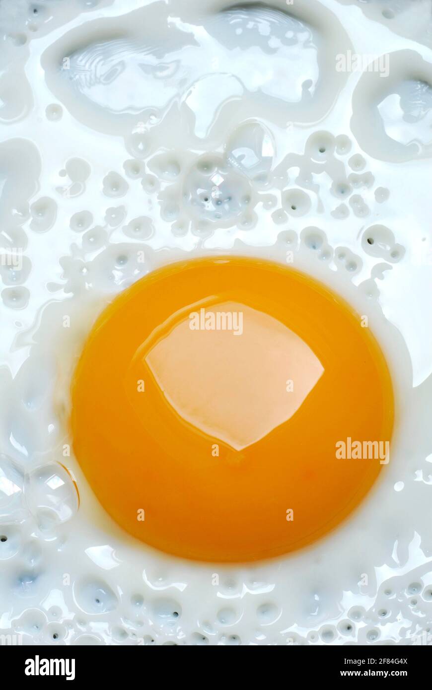 Fried egg, chicken egg, egg, fry Stock Photo Alamy