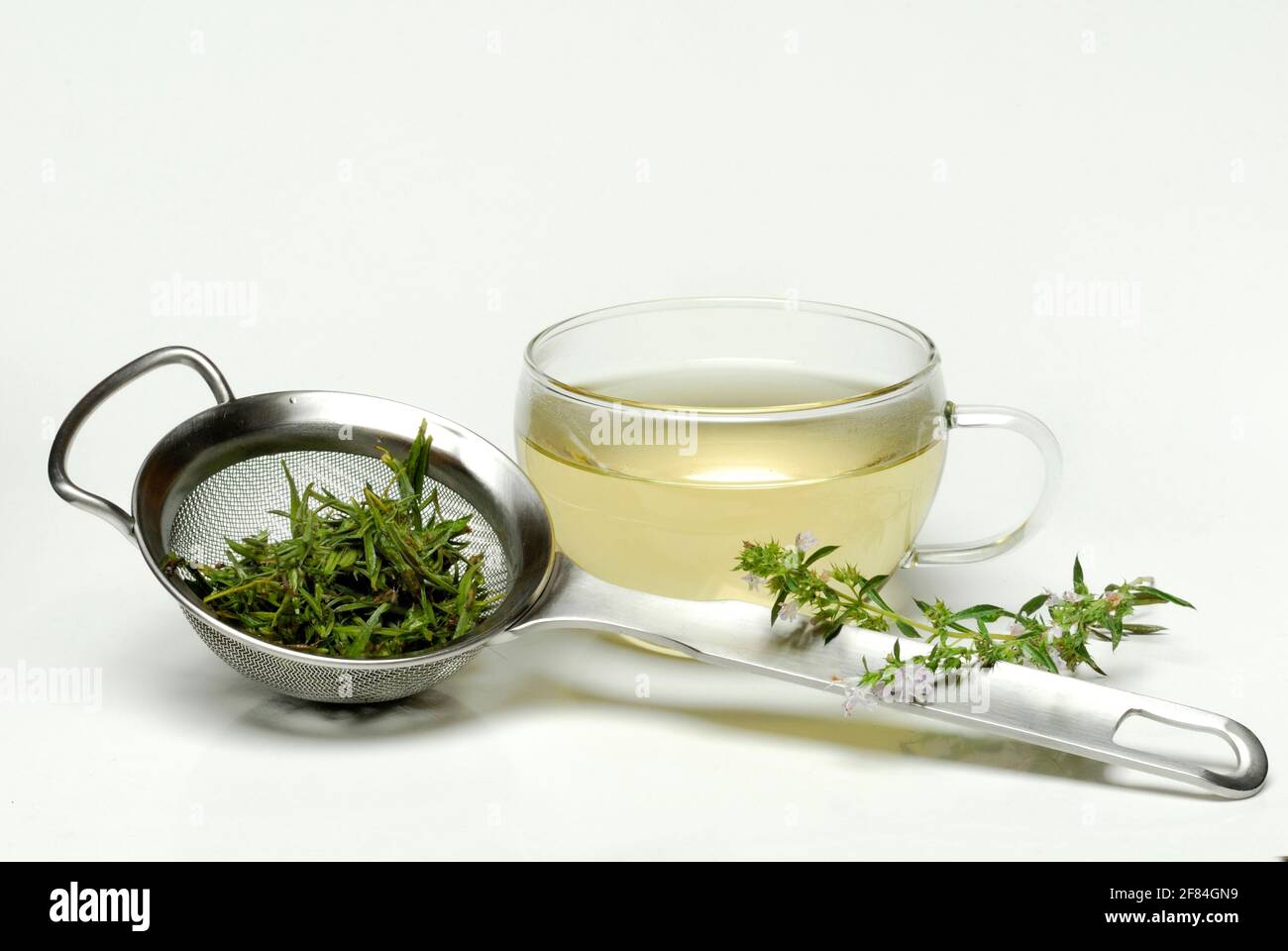 Cup savory tea (Satureja montana), savory tea, winter savory, mountain savory, savory, tea cup, tea strainer Stock Photo