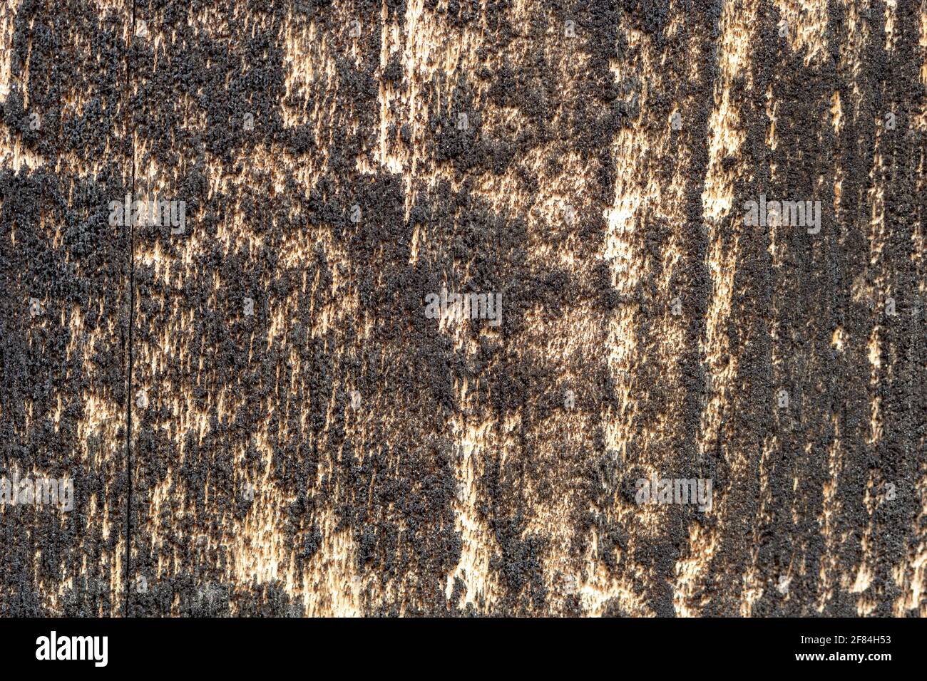 Wood texture. Dark plank table with empty space Stock Photo