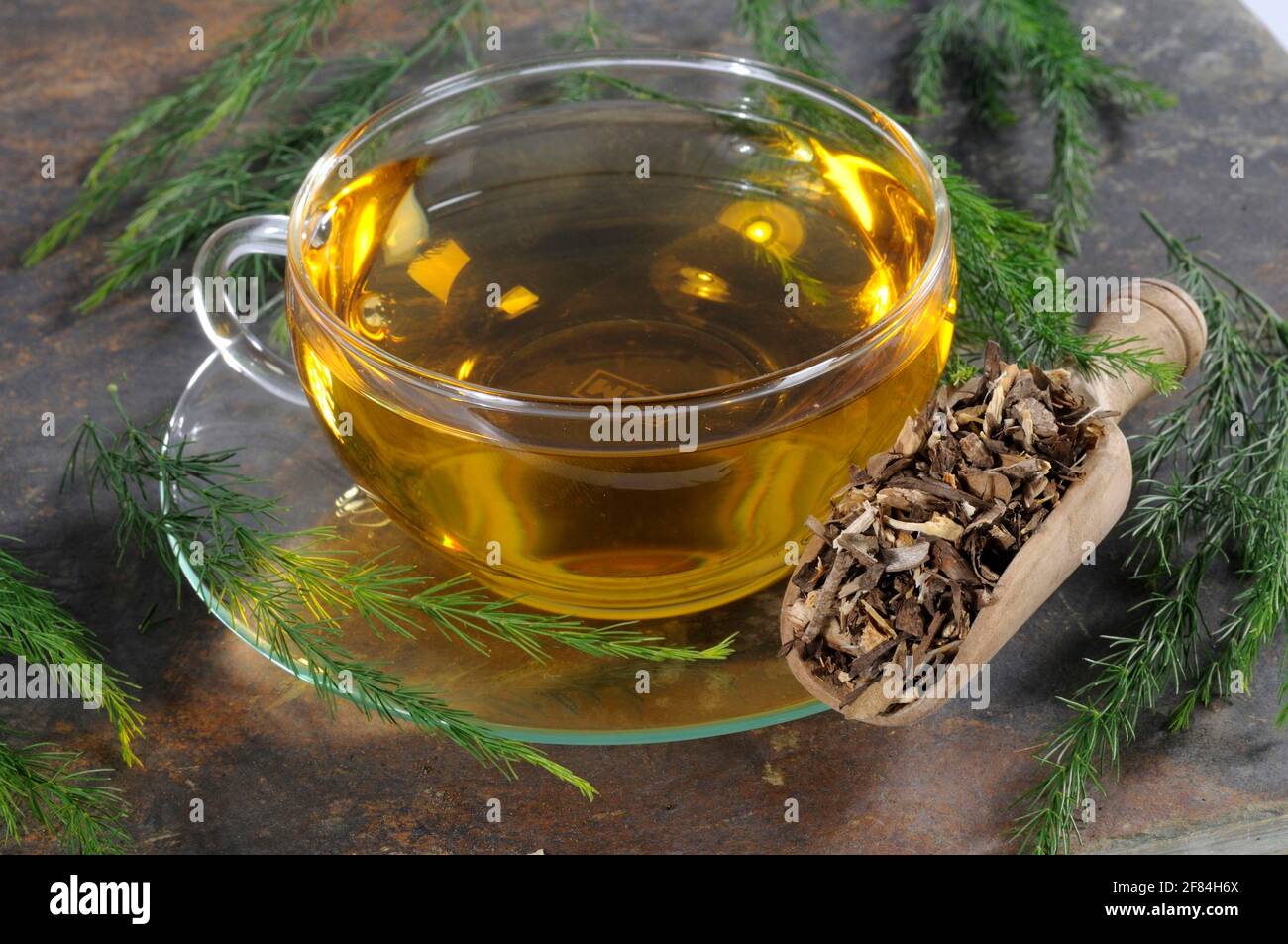 Chinese asparagus root, cup of asparagus root tea (Asparaginis Radix