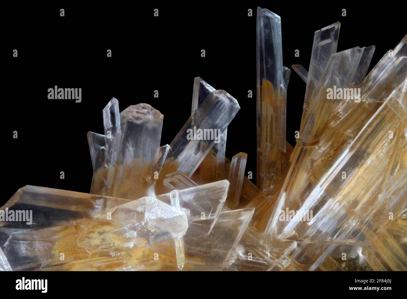Gypsum crystals exposed against a black background Stock Photo