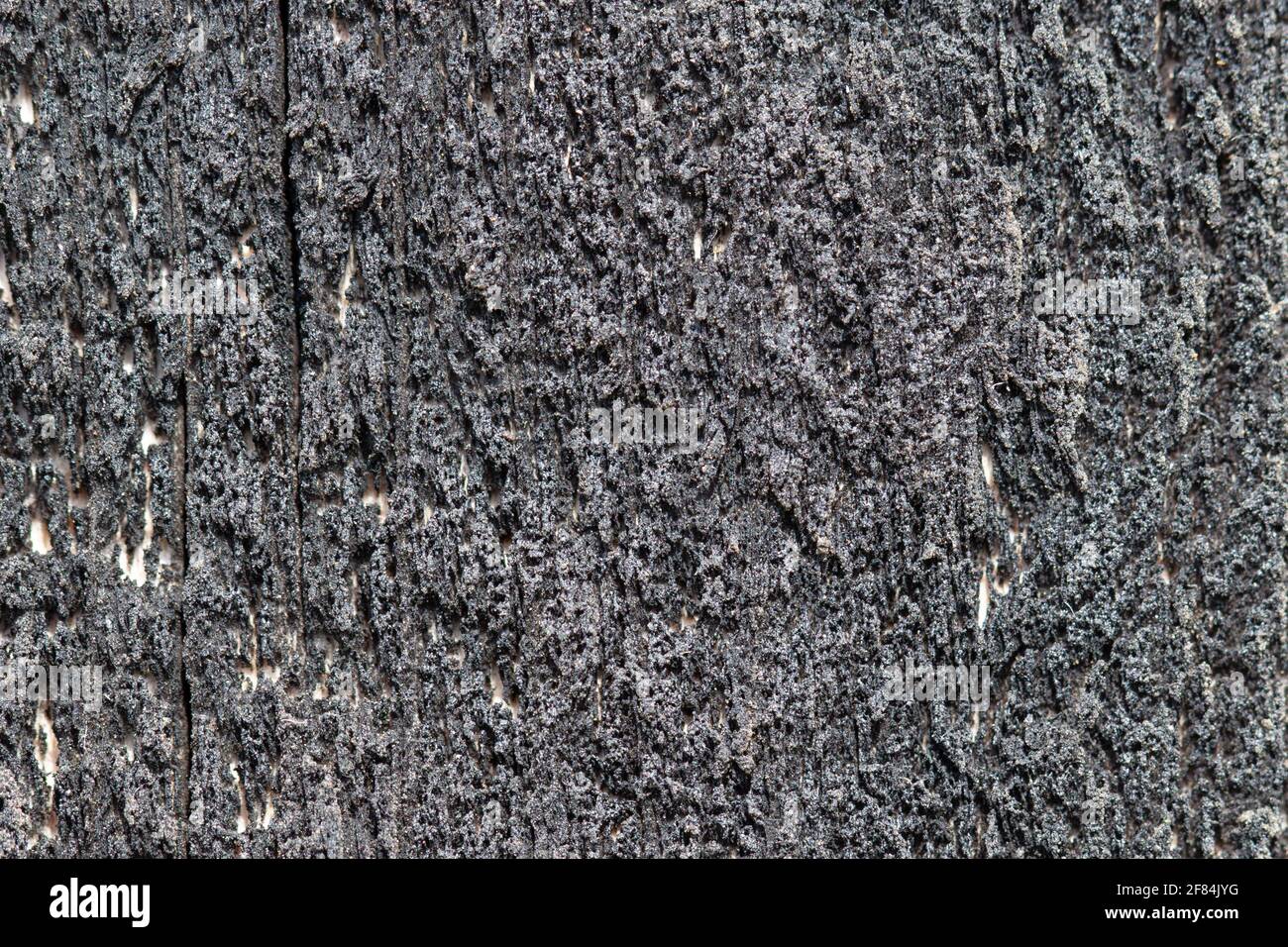 Dark board. Wooden background. An abstract pattern. Gray wood structure. Stock Photo