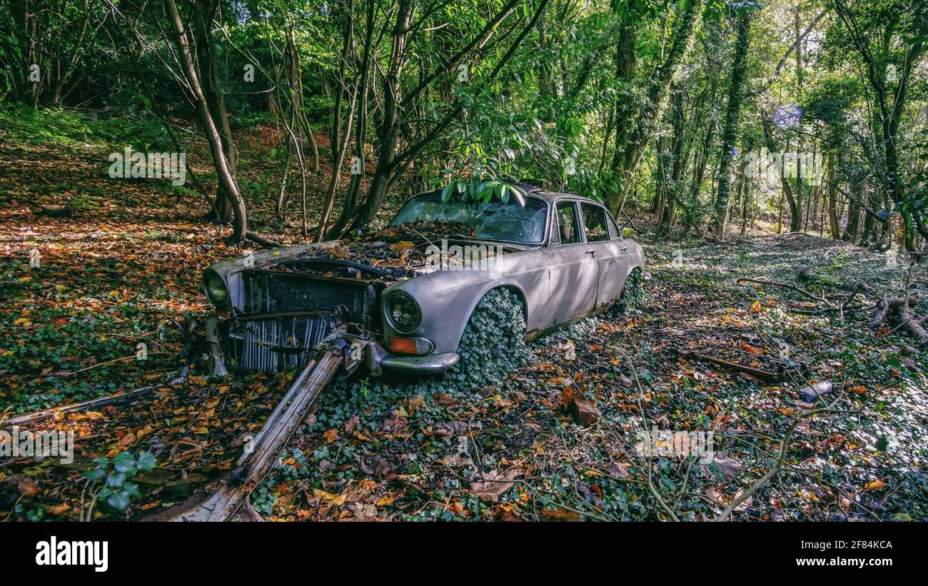 Old car overgrown by plants hi-res stock photography and images - Alamy