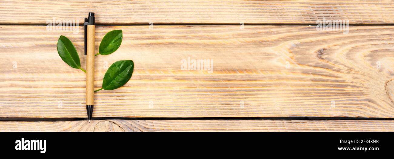 Natural eco friendly bamboo toothbrush with green tree leaves on a ...